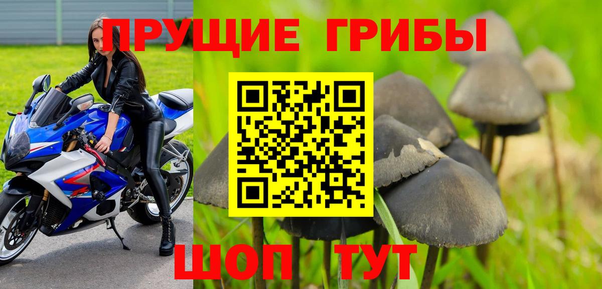 APVP Новочебоксарск